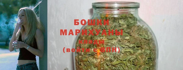 spice Аркадак