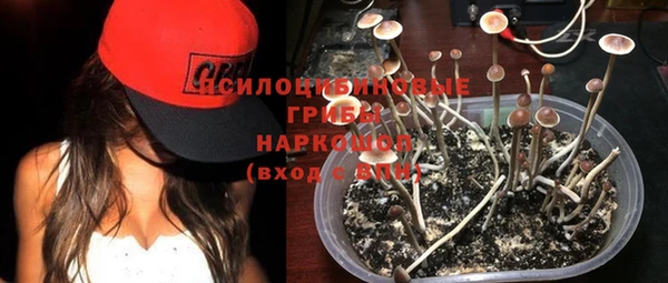 PSILOCYBIN Алексеевка