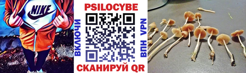 где купить   Сарапул  Псилоцибиновые грибы Psilocybine cubensis 